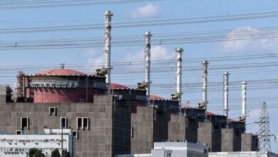 Over 40 countries demand Russia hand over nuclear plant