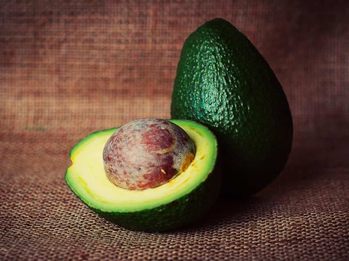 Avocados may lower risk of cardiovascular disease: Study