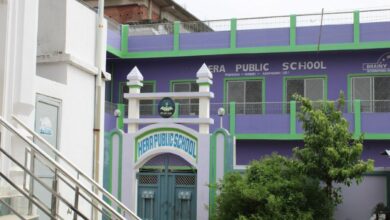 Hera Public School