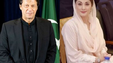 Maryam Nawaz offers 'hand of friendship' to Imran Khan's party