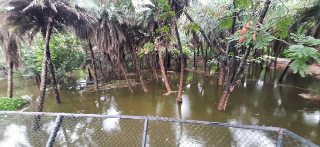 Hyderabad Zoo