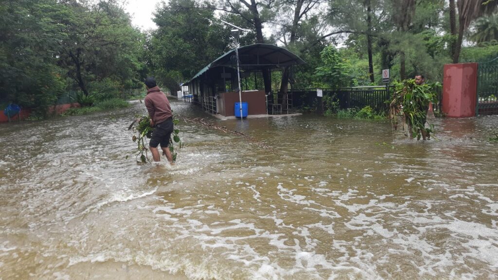 Hyderabad Zoo