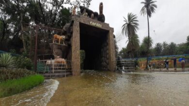 Hyderabad Zoo Park