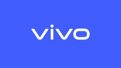 Vivo India directors leave country as ED intensifies money laundering probe: Sources