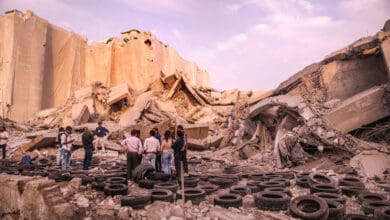 Noida Twin Tower Demolition: Foreign brain behind success