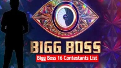 Bigg Boss 16: Two more contestants' names leaked, check here