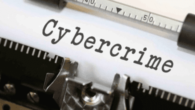 Arab Interior ministers urge stronger fight against cybercrime