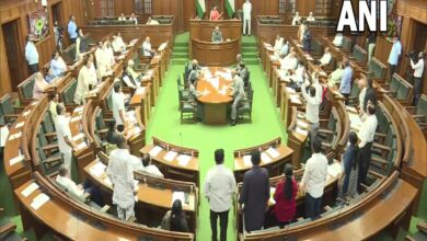 'Khokha-khokha' vs 'dhokha-dhokha': AAP, BJP fight it out in Delhi Assembly