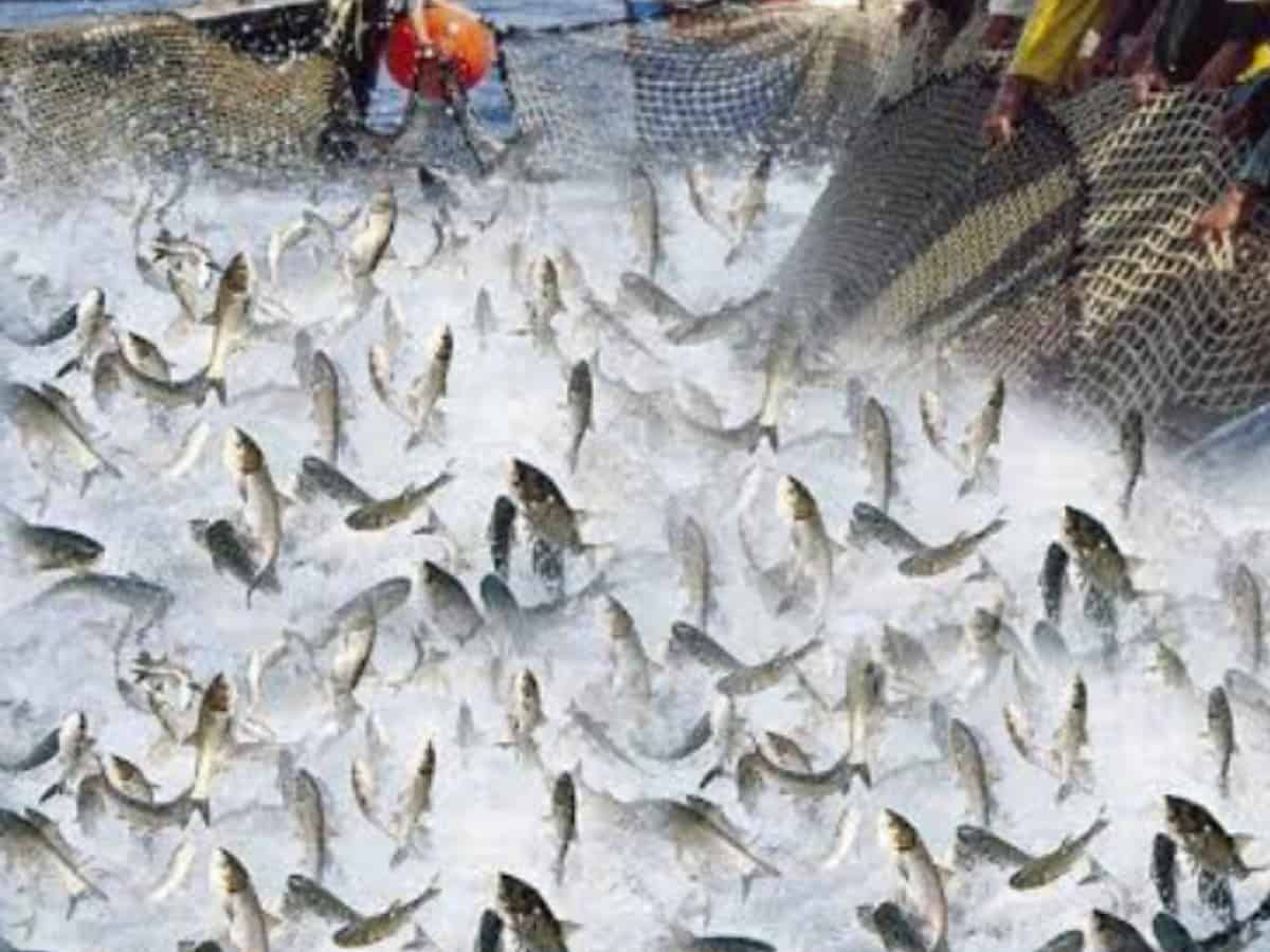 In a first, 60 Saudi women join fishery training
