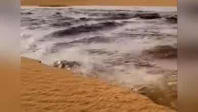 Watch: Rare scene of water flowing in Saudi Arabia's Empty Quarter desert