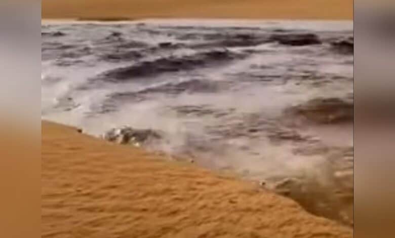 Watch: Rare scene of water flowing in Saudi Arabia's Empty Quarter desert