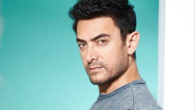 Aamir Khan's next Bollywood film shelved, why?