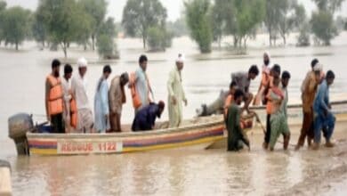 Pakistan: 5 mn feared sick in flooded areas due to disease outbreak