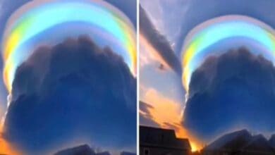 China: Rainbow cloud in Haikou city stuns residents