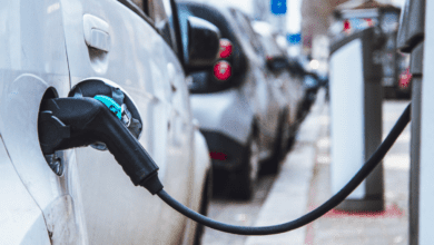 Govt sanctions Rs 800 cr for installing 7,432 EV fast charging stations