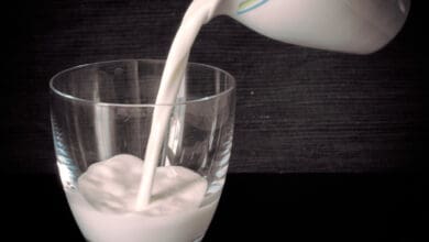 Warm milk makes you sleepy, study explains why