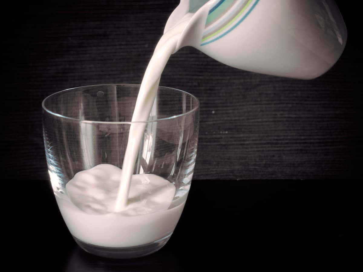 Warm milk makes you sleepy, study explains why