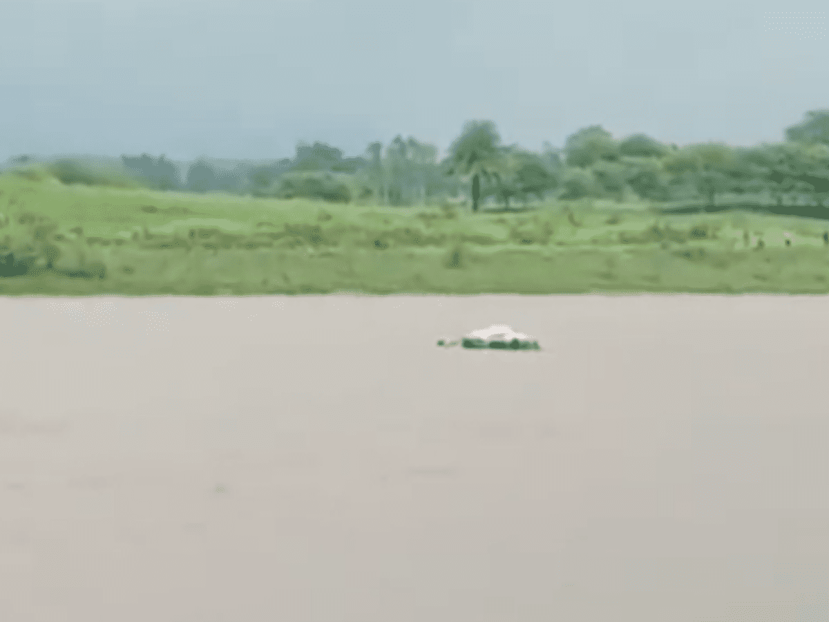 man's body to a floating rubber tube to cross flooded Narmada river between 2 villages