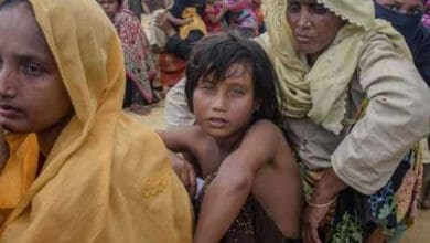 Rohingya migrants are 'threat' to national security: BJP