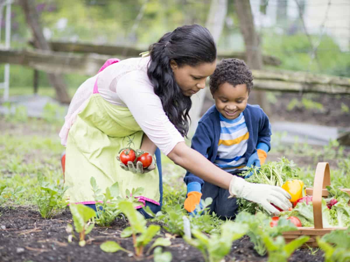 Gardening can promote better mental health: Study