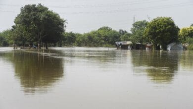 Rise in the water level of Yamuna river