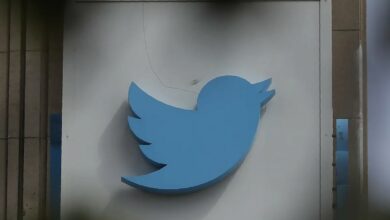 Twitter team to fight online extremism 'vanishes' after Musk takeover