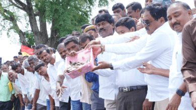 6.32L fish seedlings were introduced into the Madannapet pond