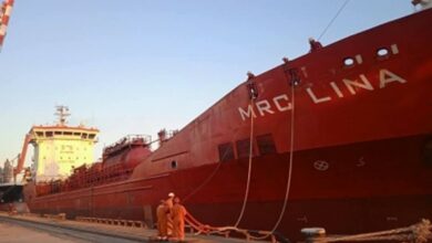 Ukraine dispatches biggest convoy of grain ships