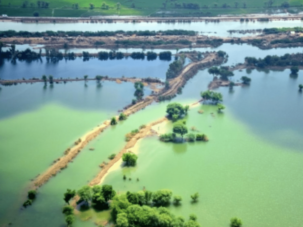 Catastrophic floods leave millions at risk of diseases