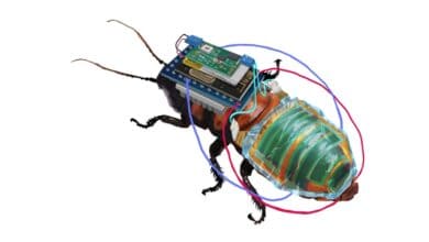 Cyborg cockroaches to soon help inspect hazardous areas near you