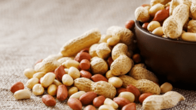 groundnut