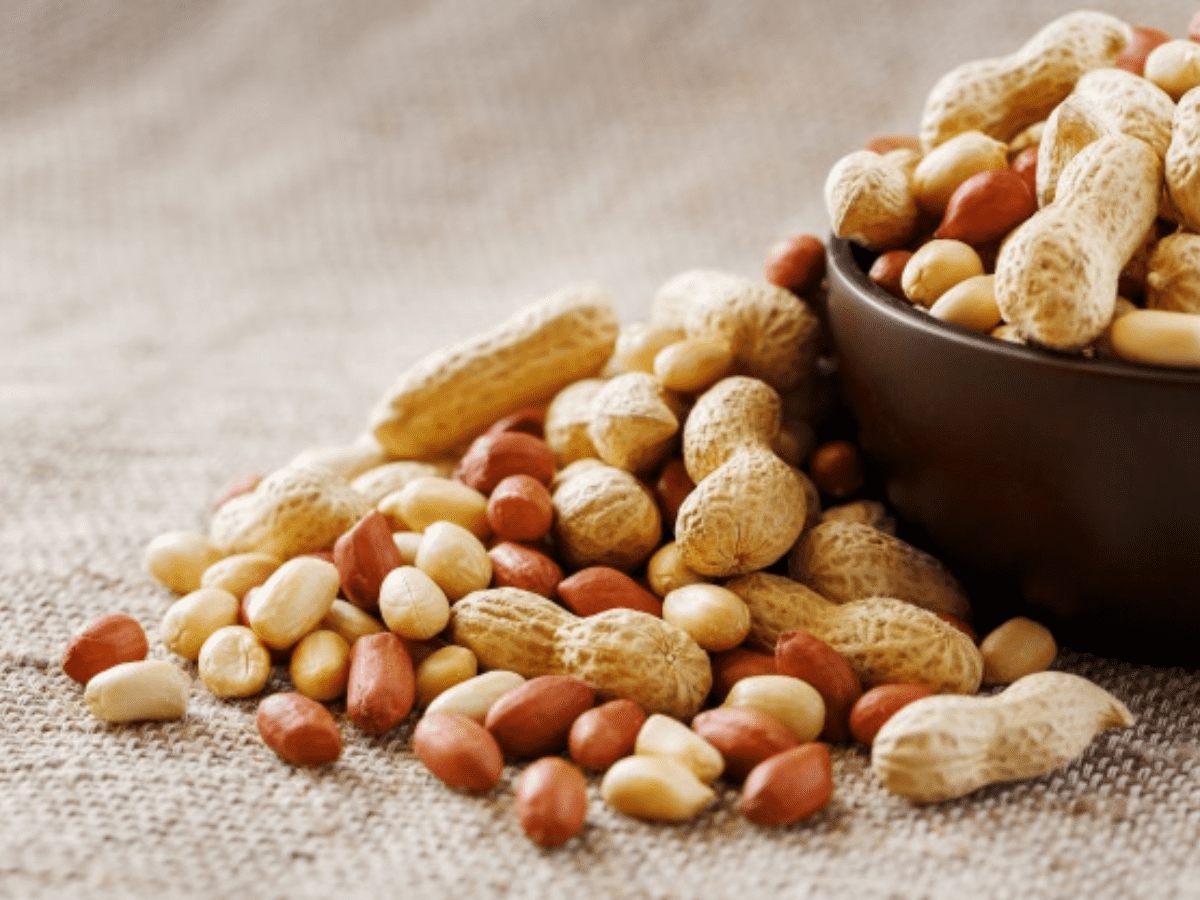 groundnut