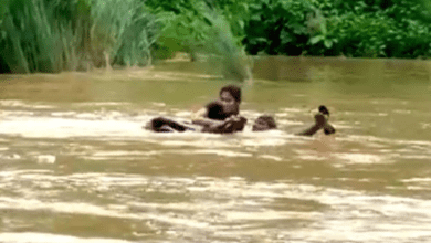 A 21-year-old student in Andhra Pradesh's Vizianagaram district had to cross a river without any conveyance to appear in an examination.