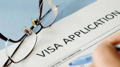 UAE: Know all about 4 multiple-entry visas for expats to enter or live in the country without a job