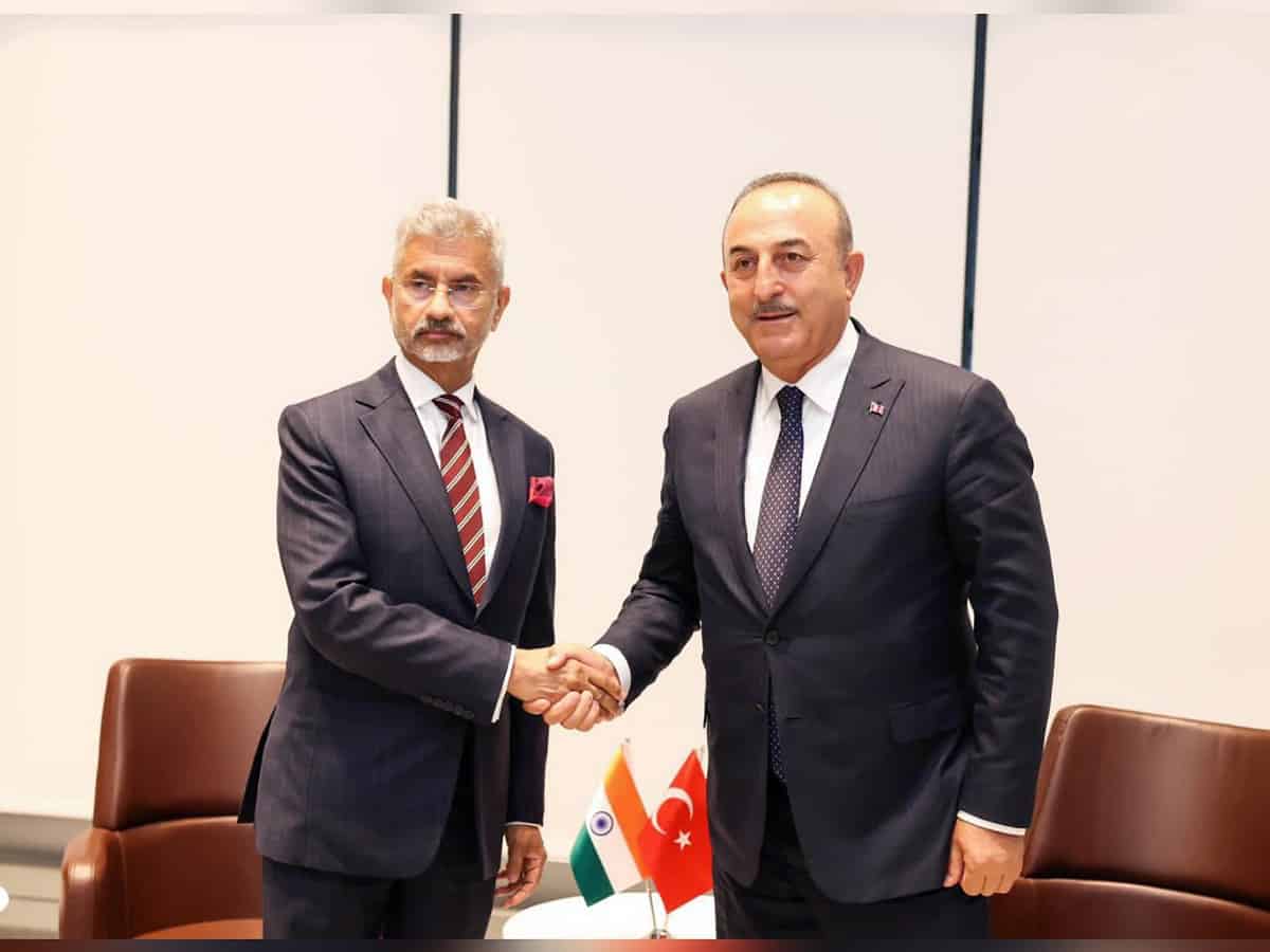 EAM Jaishankar meets Turkish FM after Erdogan raises Kashmir issue