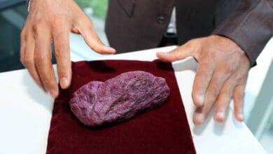 Rare 5,010-carat ruby, weighing 1 kg unveiled in Dubai