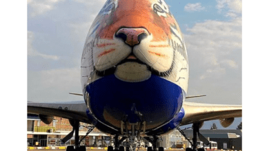 India sends a special plane to bring Cheetahs from Namibia