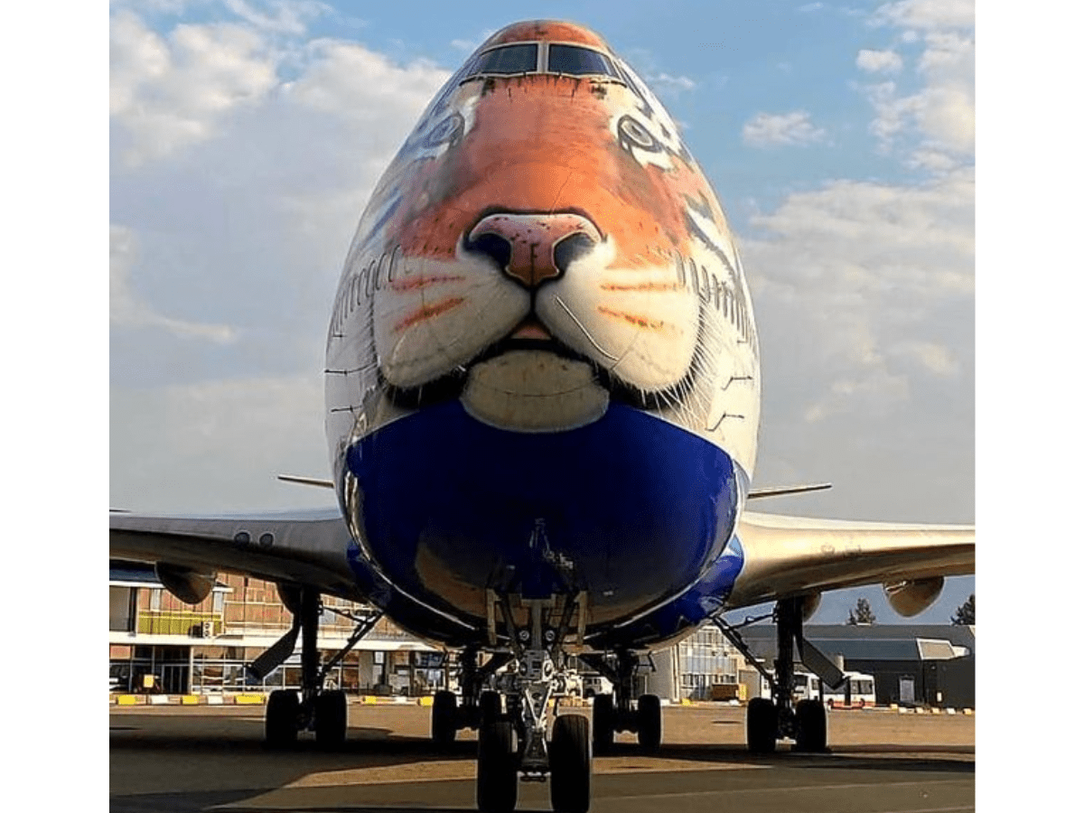 India sends a special plane to bring Cheetahs from Namibia