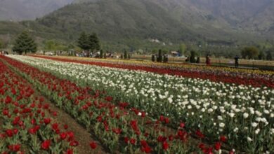 Making J&K the land of milk and honey