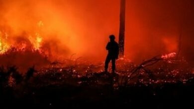 Wildfires burns over 3,200 hectares of land in France