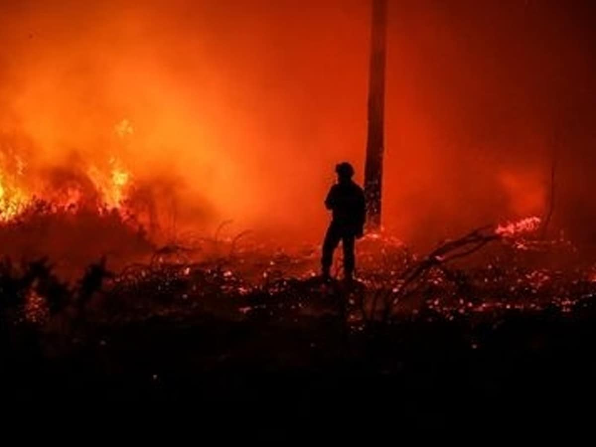 Wildfires burns over 3,200 hectares of land in France