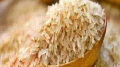 Ban on broken rice export imposed after recent rise in exports: Centre