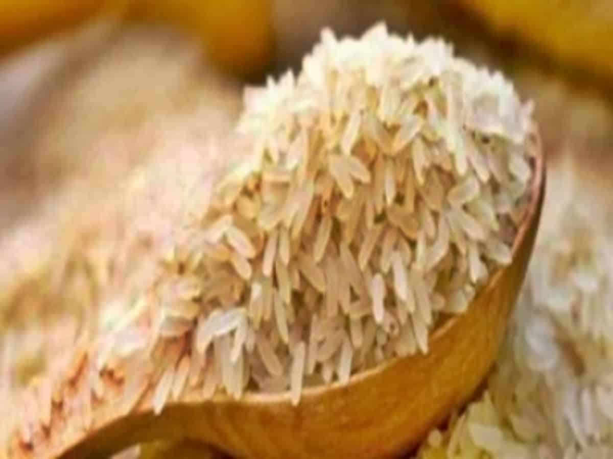 Ban on broken rice export imposed after recent rise in exports: Centre