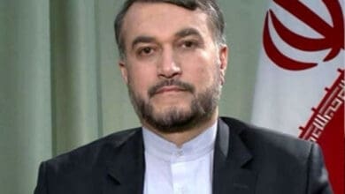 Iranian FM lauds progress in Tehran-IAEA cooperation