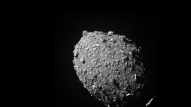 NASA's DART mission successfully hits asteroid in planetary defence test