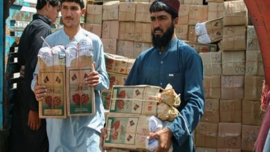 Afghan fresh, dry fruits return from Torkham border after Pakistan hikes duty