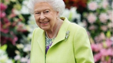 5 outfits of Queen Elizabeth II that had hidden messages