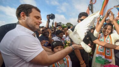 AP: Rahul briefly touches border villages during 'Bharat Jodo Yatra'