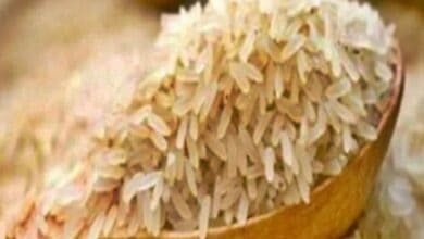 Government imposes 20% export duty on rice