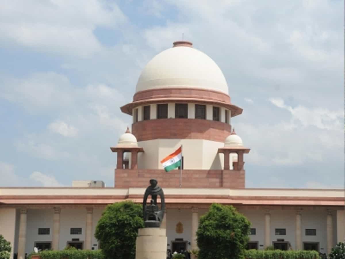 'It depends on how you look at it', SC dismisses plea against Ashoka Lions atop new Parliament